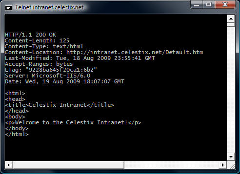 telnet_http_07